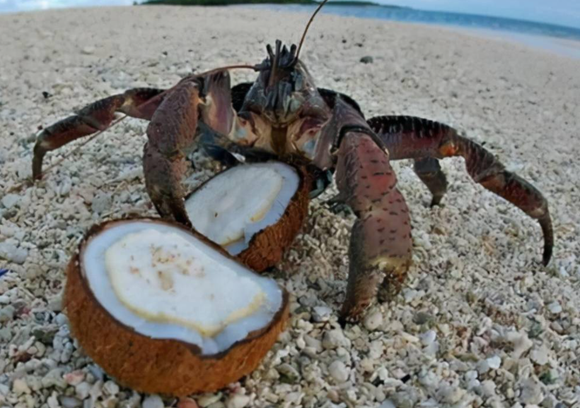 1697437630368932.png 微信截图_20230731101628.png