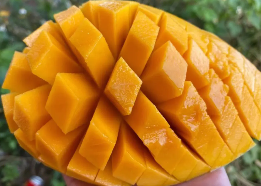 1697438634333991.png 微信截图_20230803142823.png