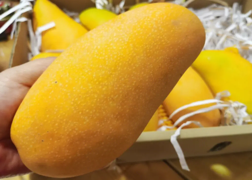 1697438671307462.png 微信截图_20230803143027.png