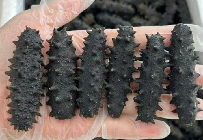 1697439314644201.png 微信截图_20230920145335.png