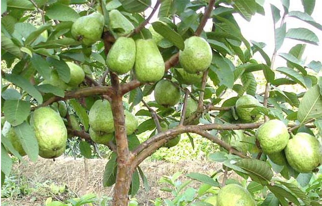 1697439642125338.png 微信截图_20230818105624.png