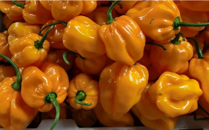 1697442101541180.png 微信截图_20230816102629.png