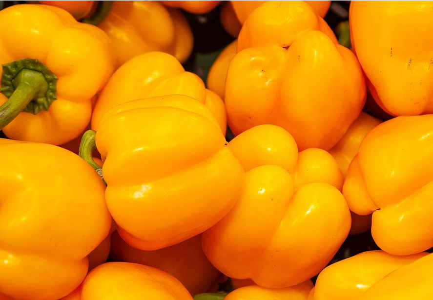 1697442123596763.png 微信截图_20230816102835.png