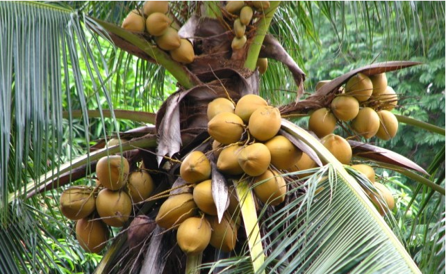 1697442207200650.png 微信截图_20230817143309.png