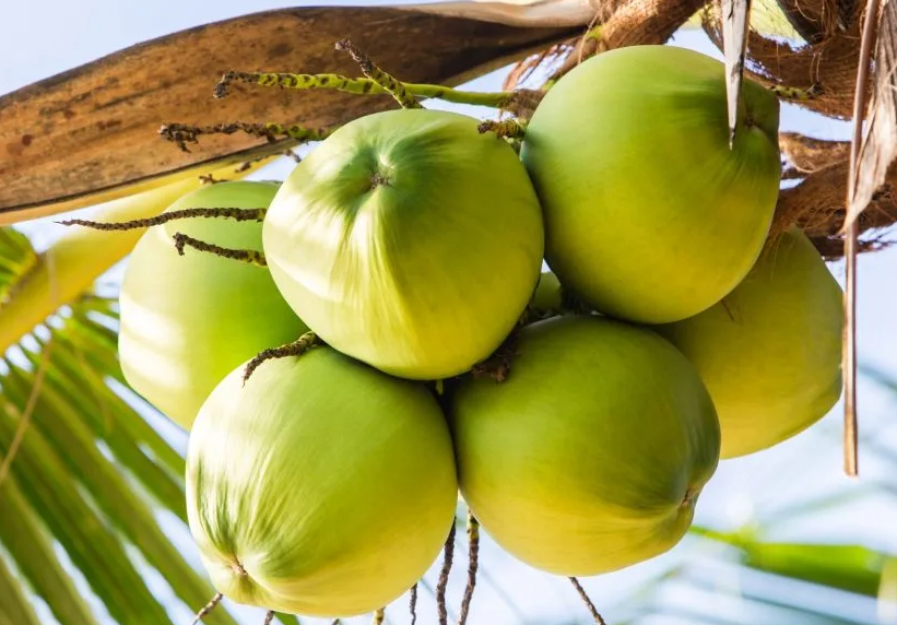 1697442223290925.png 微信截图_20230817143337.png