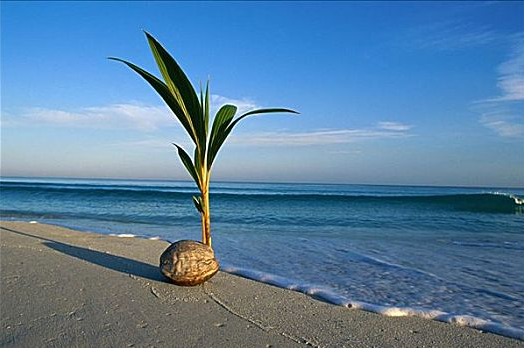 1697442432484465.png 微信截图_20230822140141.png