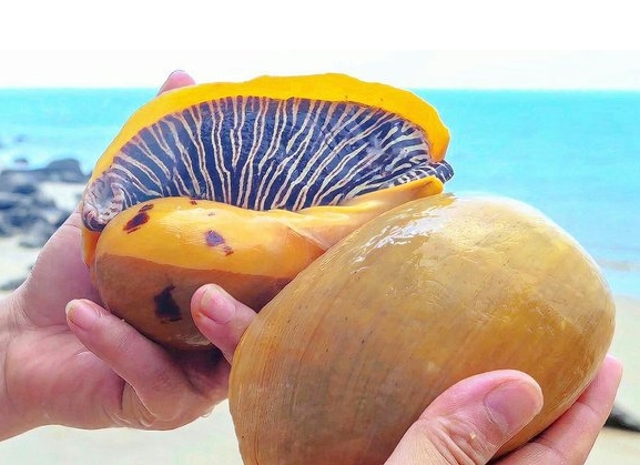 1699426011381100.png 微信截图_20231101153042.png