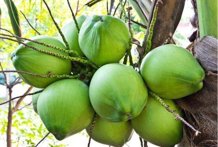 1699517265643354.png 微信截图_20231101145023.png