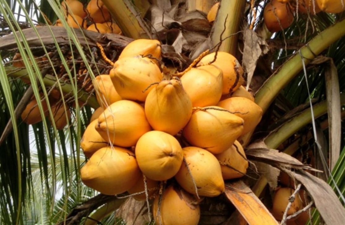 1699856885152670.png 微信截图_20231108113529.png