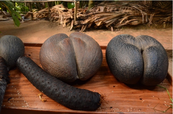 1699943931310103.png 微信截图_20231109143834.png