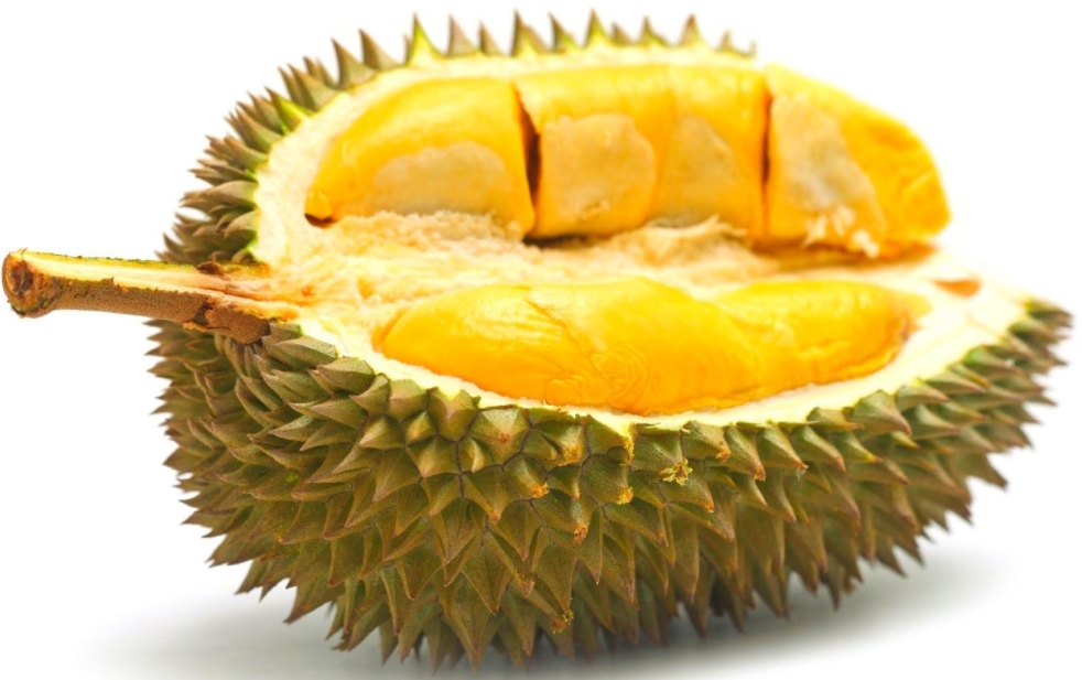 1699945357507082.png 微信截图_20231113105743.png