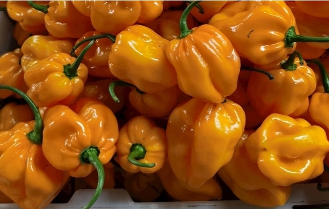 1700115840715829.png 微信截图_20231113113520.png