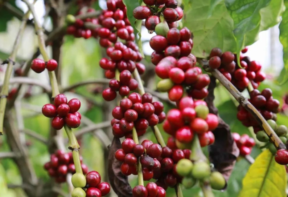 1701661499862950.png 微信截图_20231122150244.png