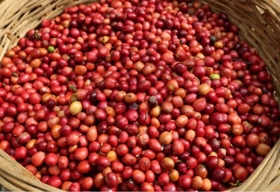 1701661506917652.png 微信截图_20231122150357.png