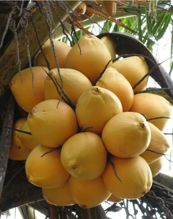 1701930381652549.png 微信截图_20231204163923.png