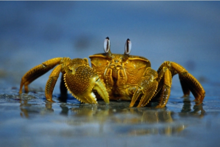 1704435275425349.png 微信截图_20240103162935.png