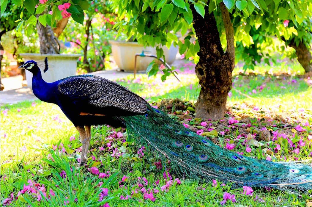 1708843533496626.png 微信截图_20240119155714.png