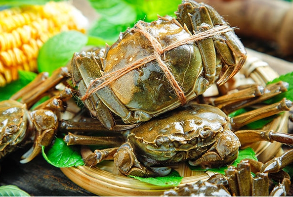 1709110221467577.png 微信截图_20240225163458.png