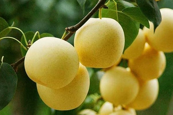 1709619988721616.png 微信截图_20240304101738.png