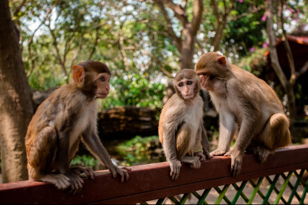 1710751474742693.png 微信截图_20240301150956.png