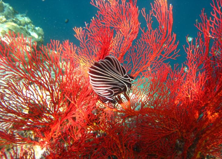 1710831502586349.png 微信截图_20240319141453.png