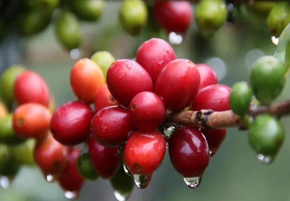 1711011356664479.png 微信截图_20240321143030.png