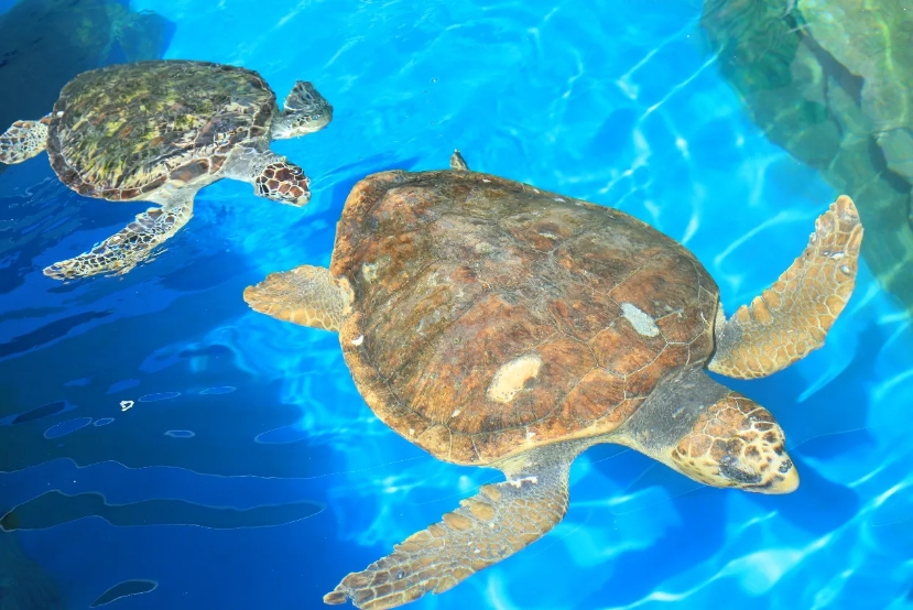 1712905058680722.png 微信截图_20240208103904.png