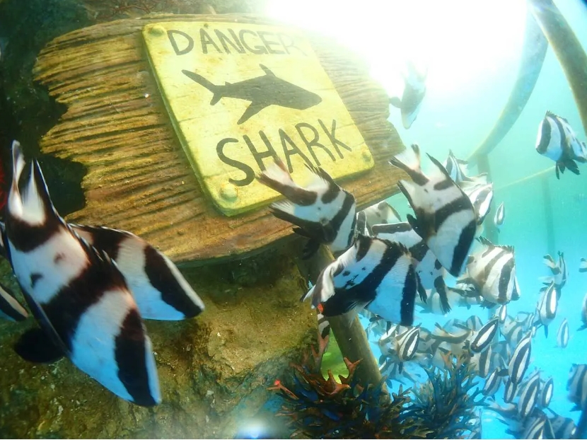 1712905064609739.png 微信截图_20240208104259.png