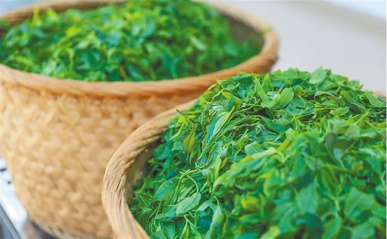 1713943712979057.png 微信截图_20240208103633.png