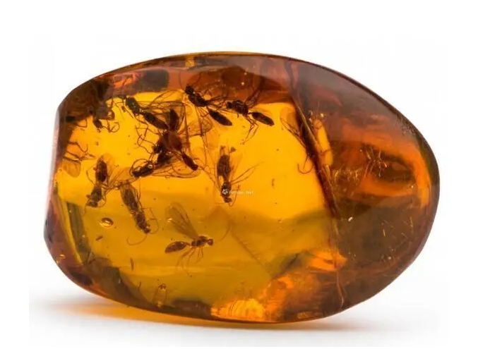 1714373539580462.png 微信截图_20240429110949.png