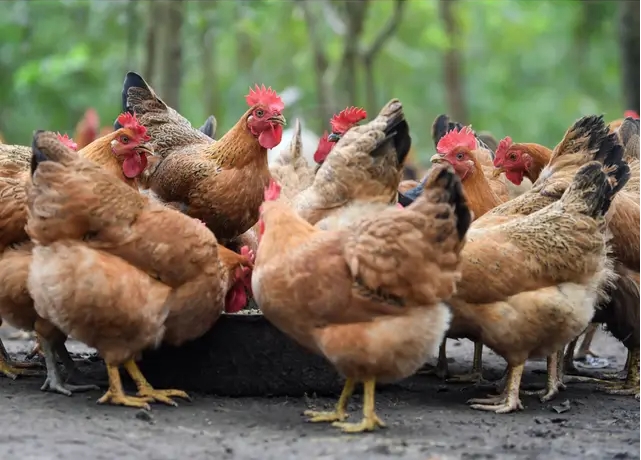 1715407897737920.png 微信截图_20240511111430.png