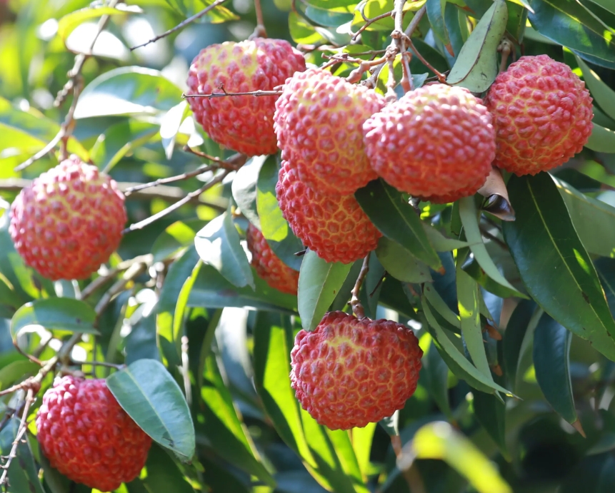 1715930554109101.png 微信截图_20240517145428.png