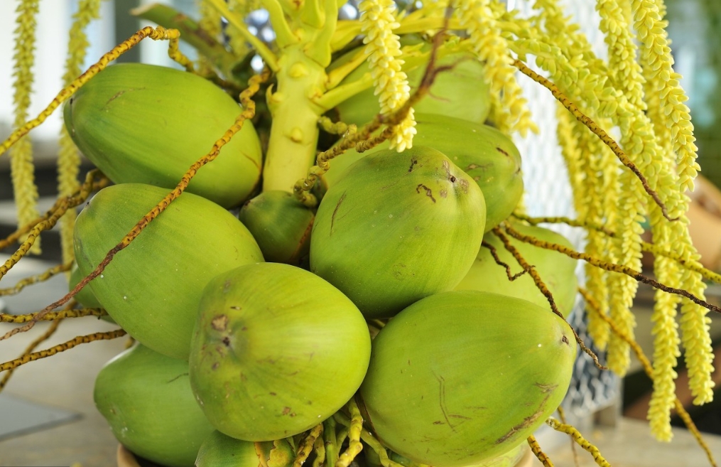 1716793212345308.png 微信截图_20240527111236.png