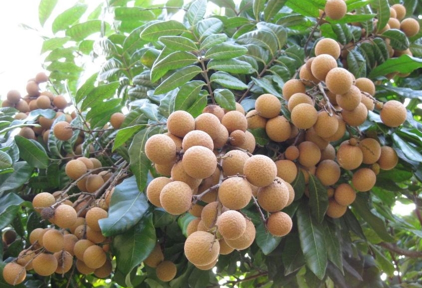 1718333080574315.png 微信截图_20240614102750.png