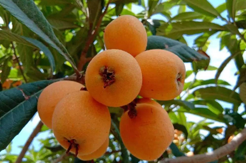 1718333091976169.png 微信截图_20240614102824.png