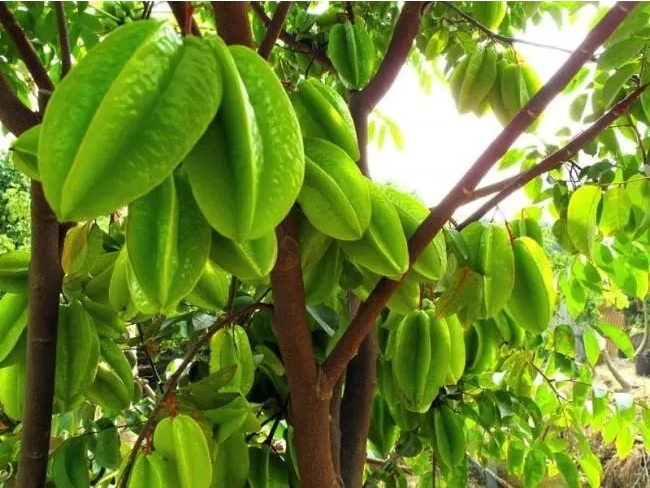 1718613356537386.png 微信截图_20240617160544.png