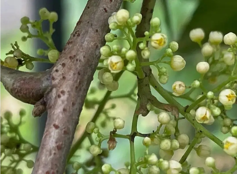 1718872088753112.png 微信截图_20240619145132.png