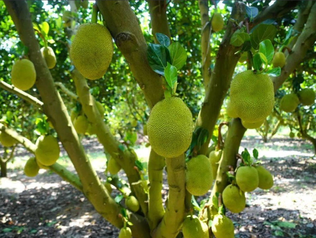 1718955807775630.png 微信截图_20240619151324.png