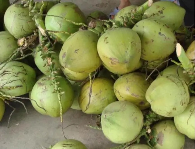 1720595510675236.png 微信截图_20240709150334.png