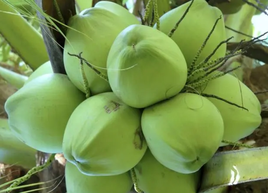 1721116633115742.png 微信截图_20240712170749.png