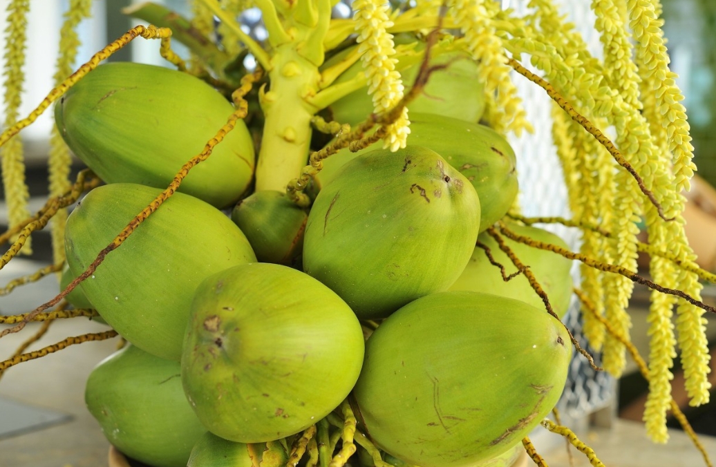 1722408579755387.png 微信截图_20240730154023.png