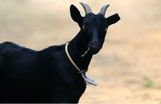 1722495831362265.png 微信截图_20240730162236.png