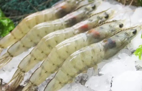 1723538383226362.png 微信截图_20240813155718.png