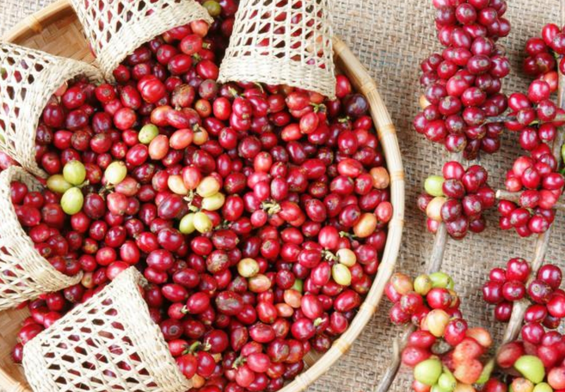 1723621990934463.png 微信截图_20240813161241.png