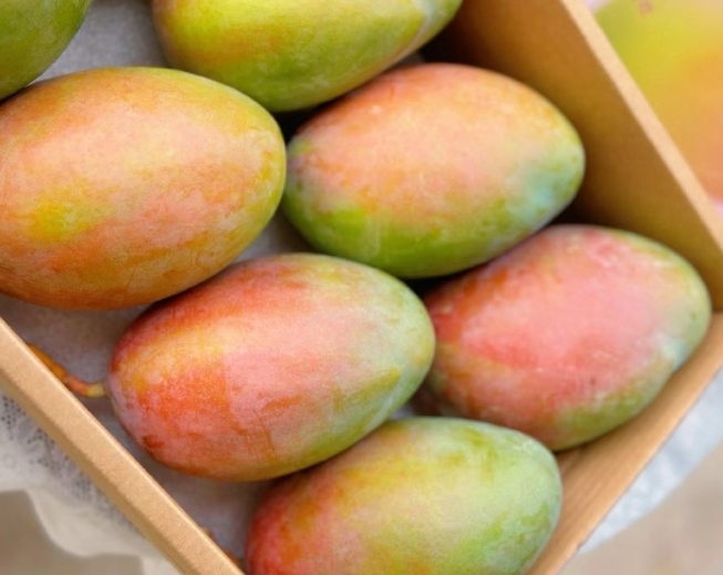 1725350665835725.png 微信截图_20240902152455.png