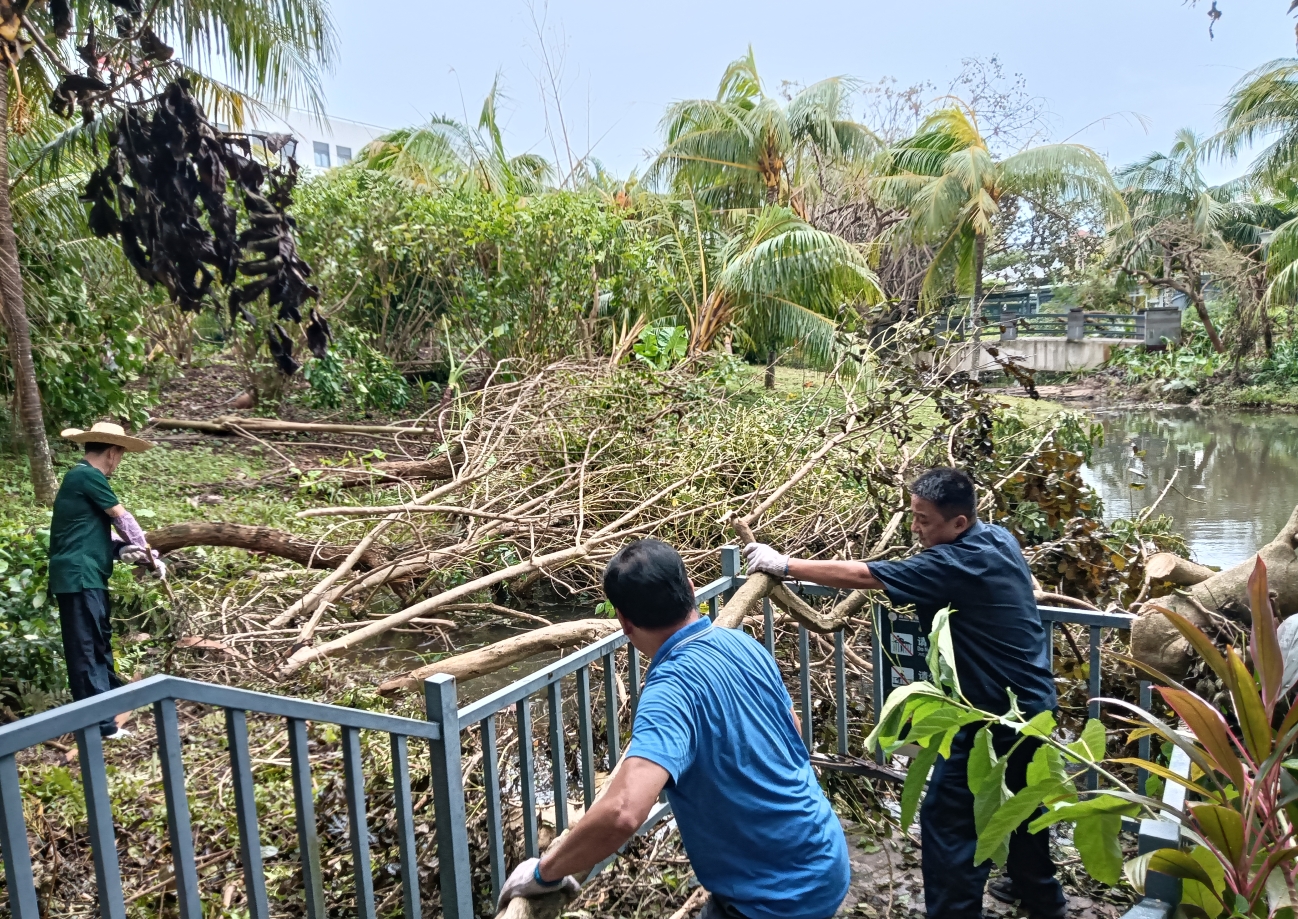 1726035695866787.png 微信截图_20240911105812.png