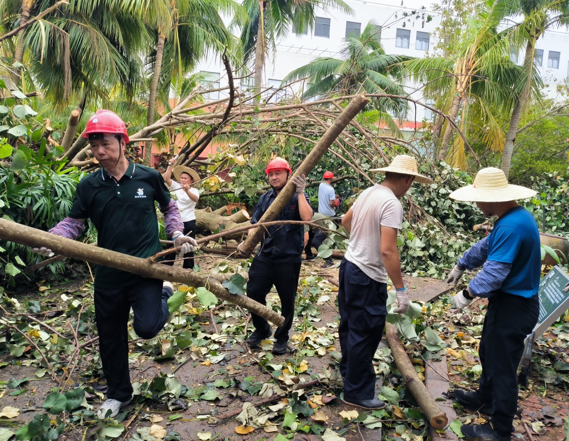 1726035702860417.png 微信截图_20240911105832.png