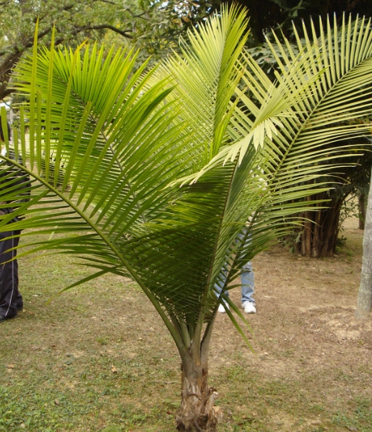 1726732185697336.png 微信截图_20240918153837.png