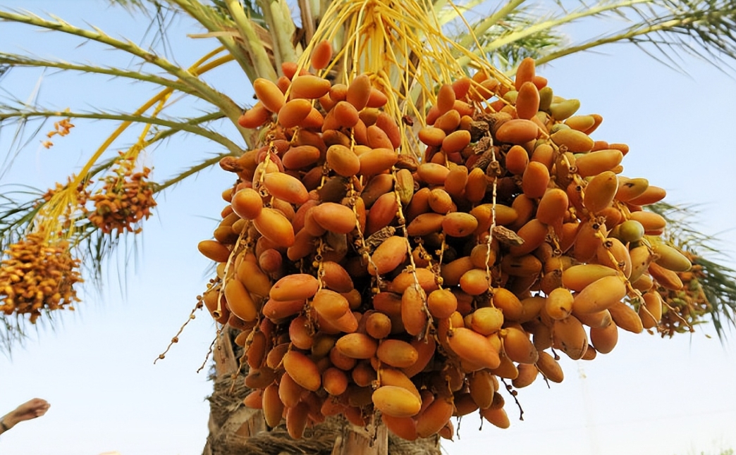 1726732724314062.png 微信截图_20240918154634.png