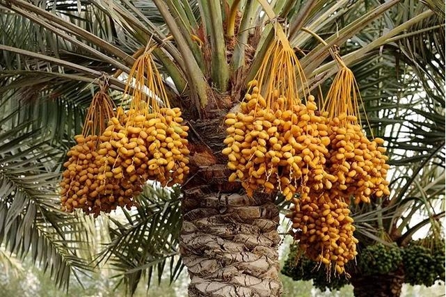 1726732730291359.png 微信截图_20240918154534.png